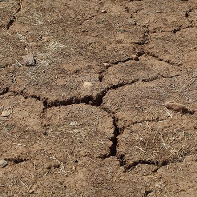 Desiccation Cracks in farming soil during the dry season.